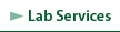 Lab Services